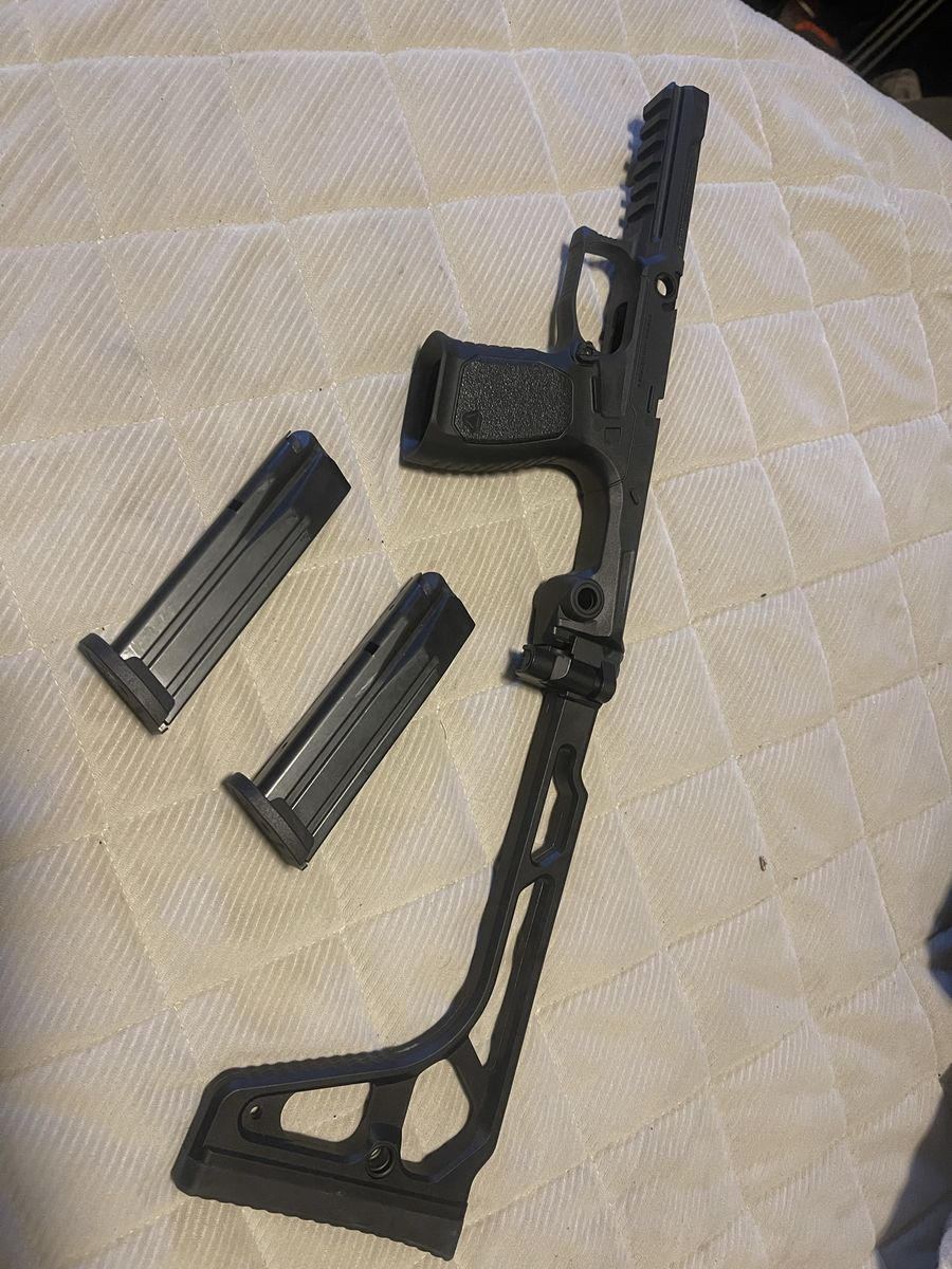 Sig 320 chassis and brace with 2 magazine