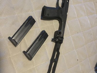 Sig 320 chassis and brace with 2 magazine