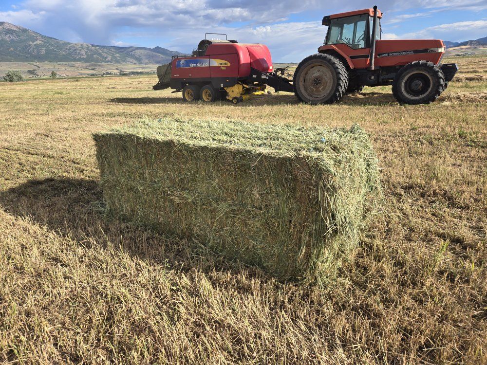 3x3 and 3x4 bales