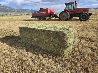 3x3 and 3x4 bales