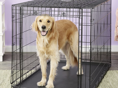 NEW Ovation Single Door Collapsible Wire Dog Crate, 48-in x 30-in x 32-in