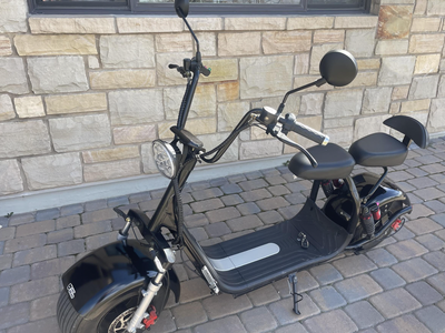 Fat Bear Electric Fat Tire Scooter
