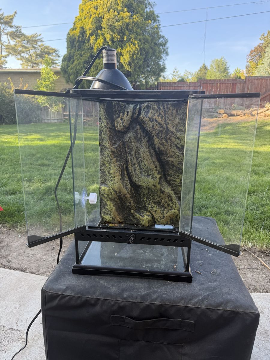 Glass Terrarium with Dome Lamp - Ideal for Reptiles or Amphibians