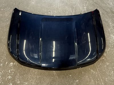 2016-2019 Ford Explorer Hood