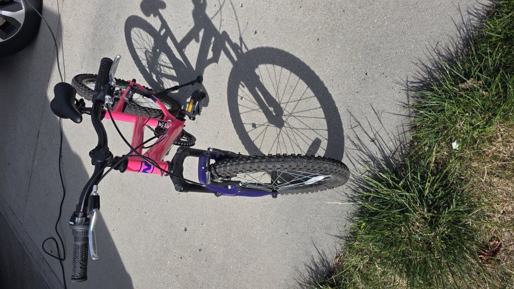 Nishiki Girls' Pueblo 20" Mountain Bike