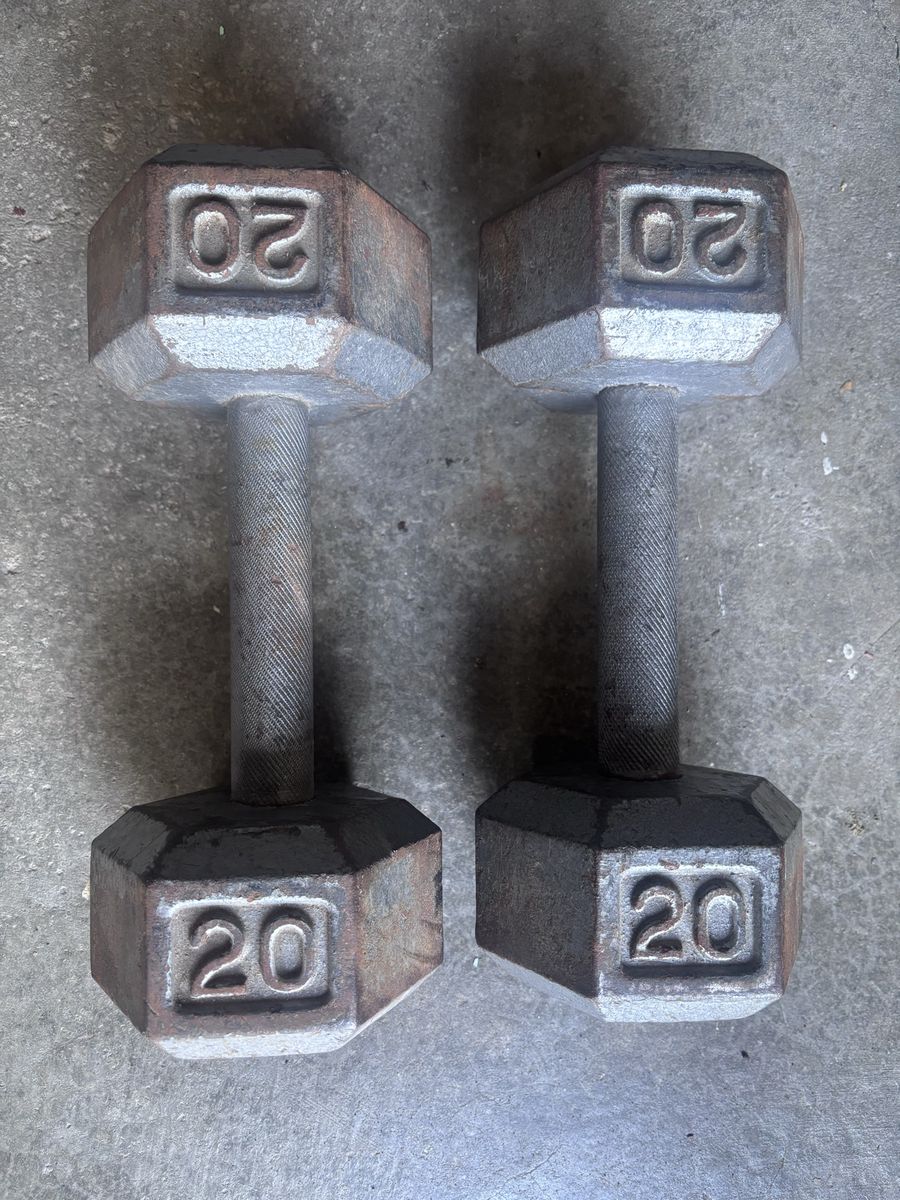 20 lb dumbbells