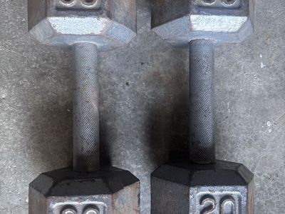 20 lb dumbbells