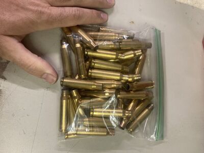 308 Brass For Sale Or Trade