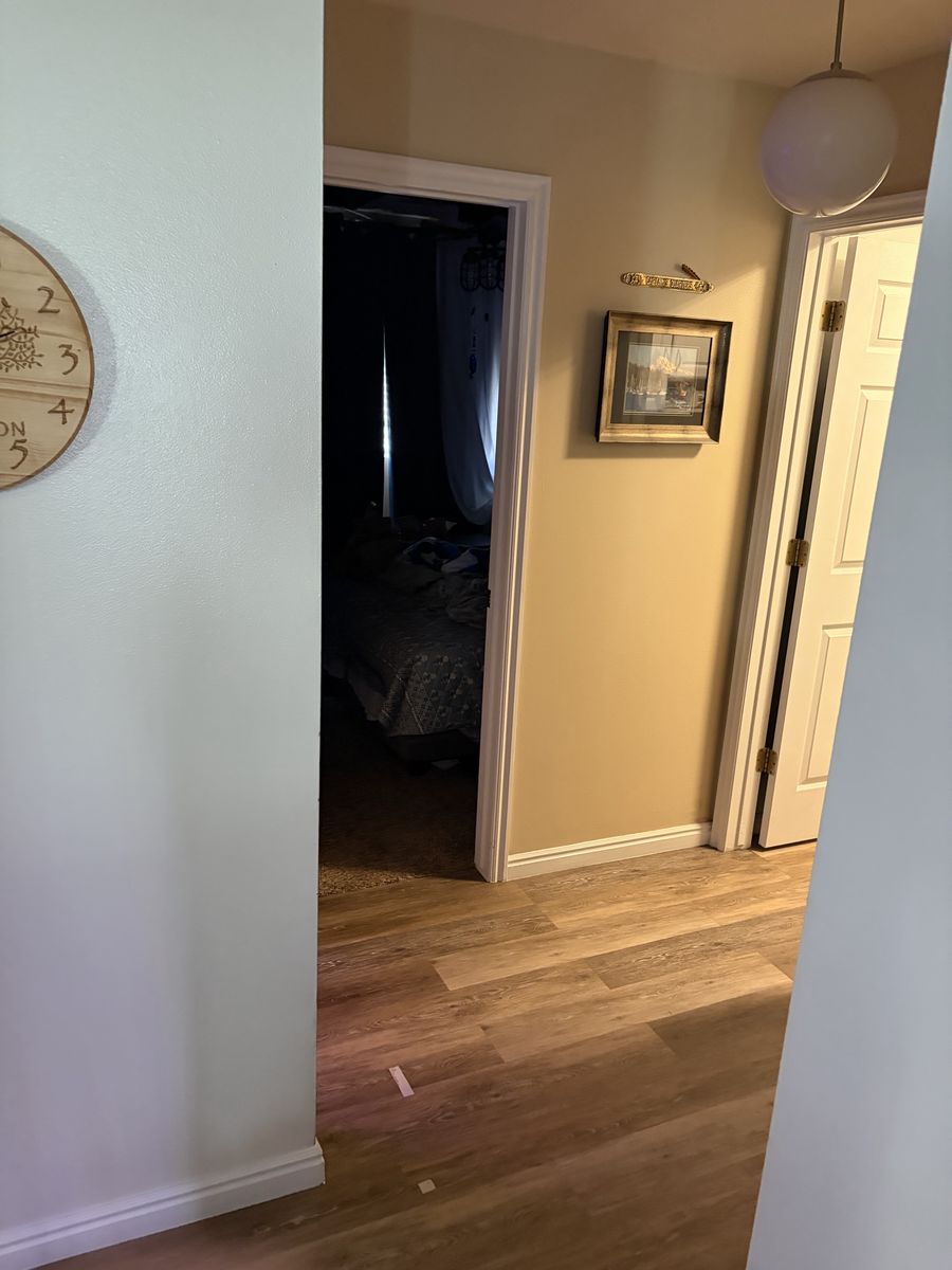 Main image 5