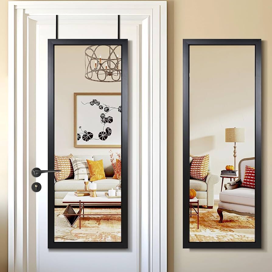 Door Mirror Full Length 51x18