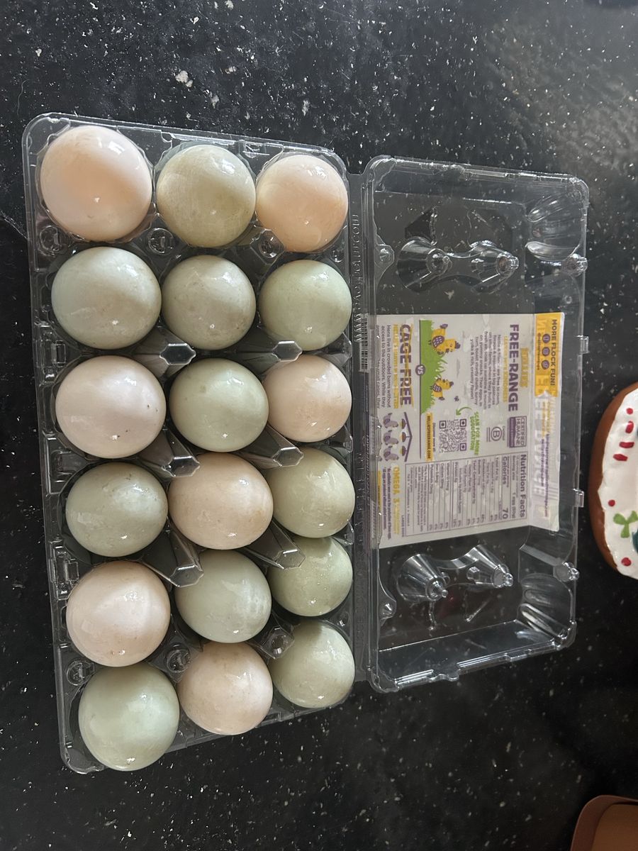 Duck Eggs