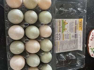 Duck Eggs