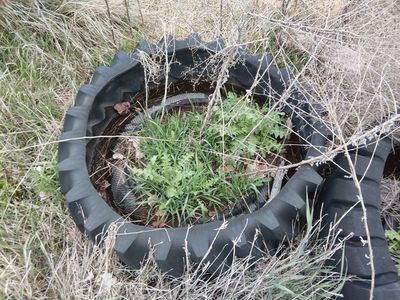 Planter Box Tires