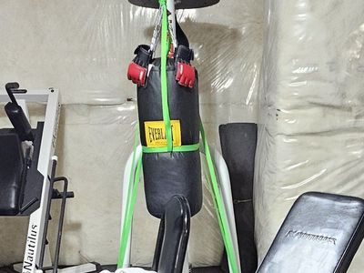 Everlast Powercore Combo Heavy Bag Dual Station