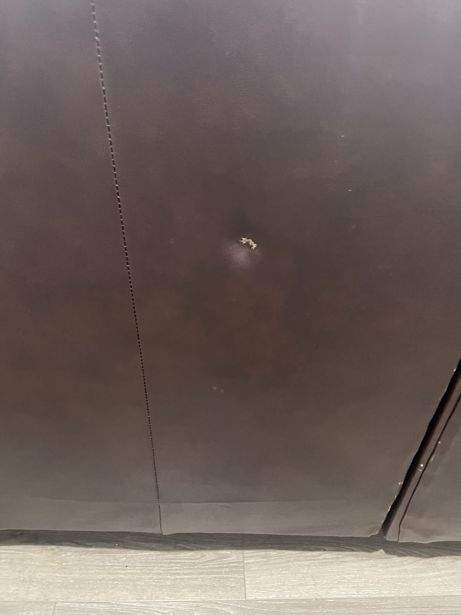 Main image 6