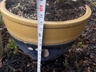14 Inch Ceramic Blue/Gold Planter/Pot