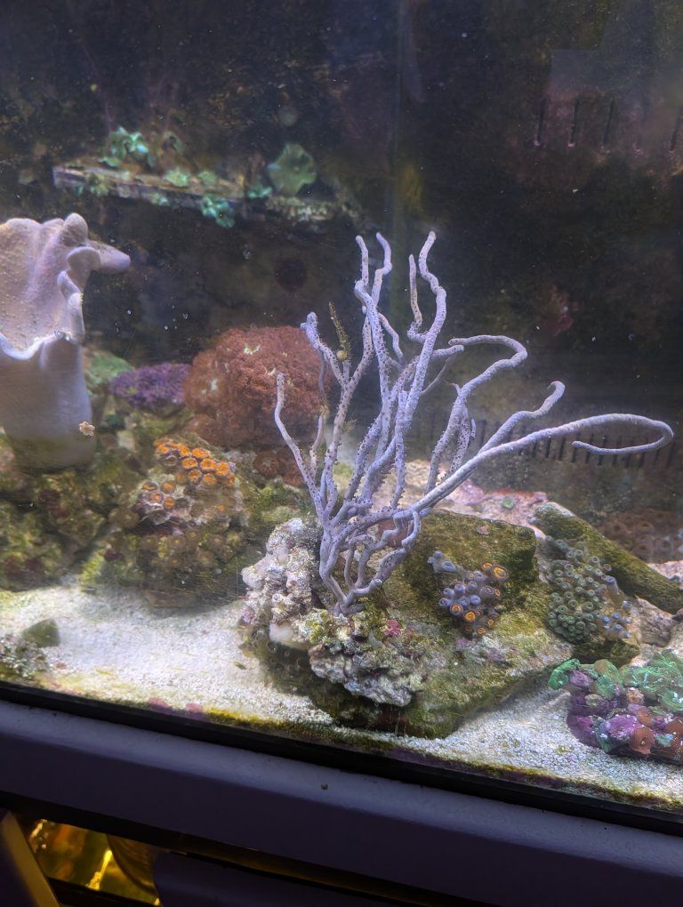 Main image 6