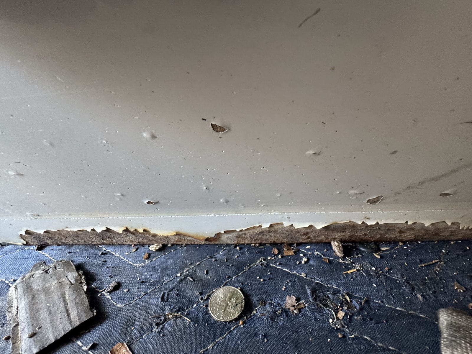 Main image 8