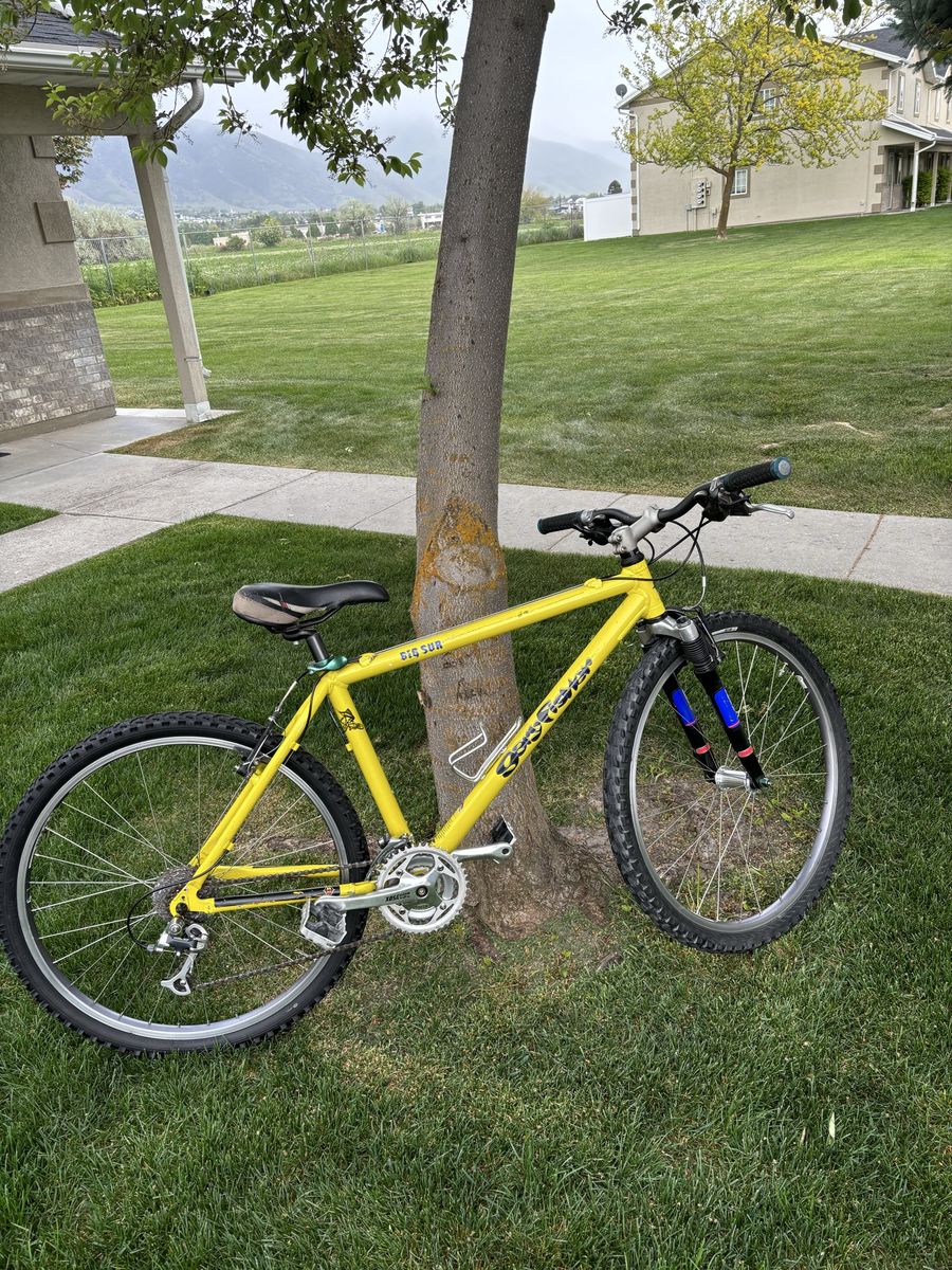 Gary Fisher BIG SIR Mountain Bike