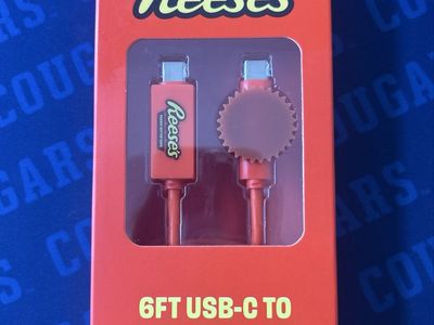 Reese's & Cheetos Flamin' Hot 6ft USB-C to USB-C Cable Charging Cord