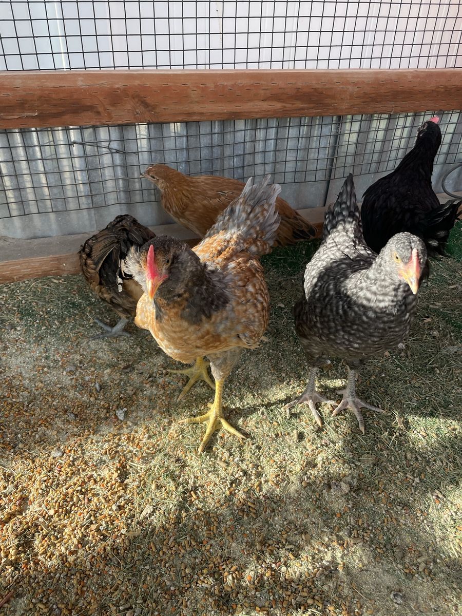 Main image 3