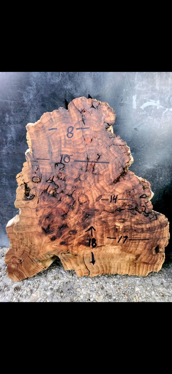 Highly figure, inclusions with a little bit of burl wood slabs $75 each