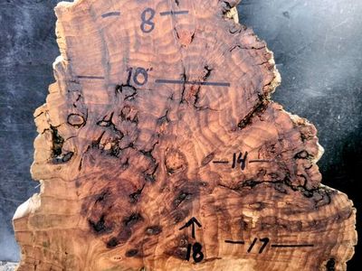 Highly figure, inclusions with a little bit of burl wood slabs $75 each
