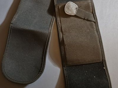 Appendix concealed carry