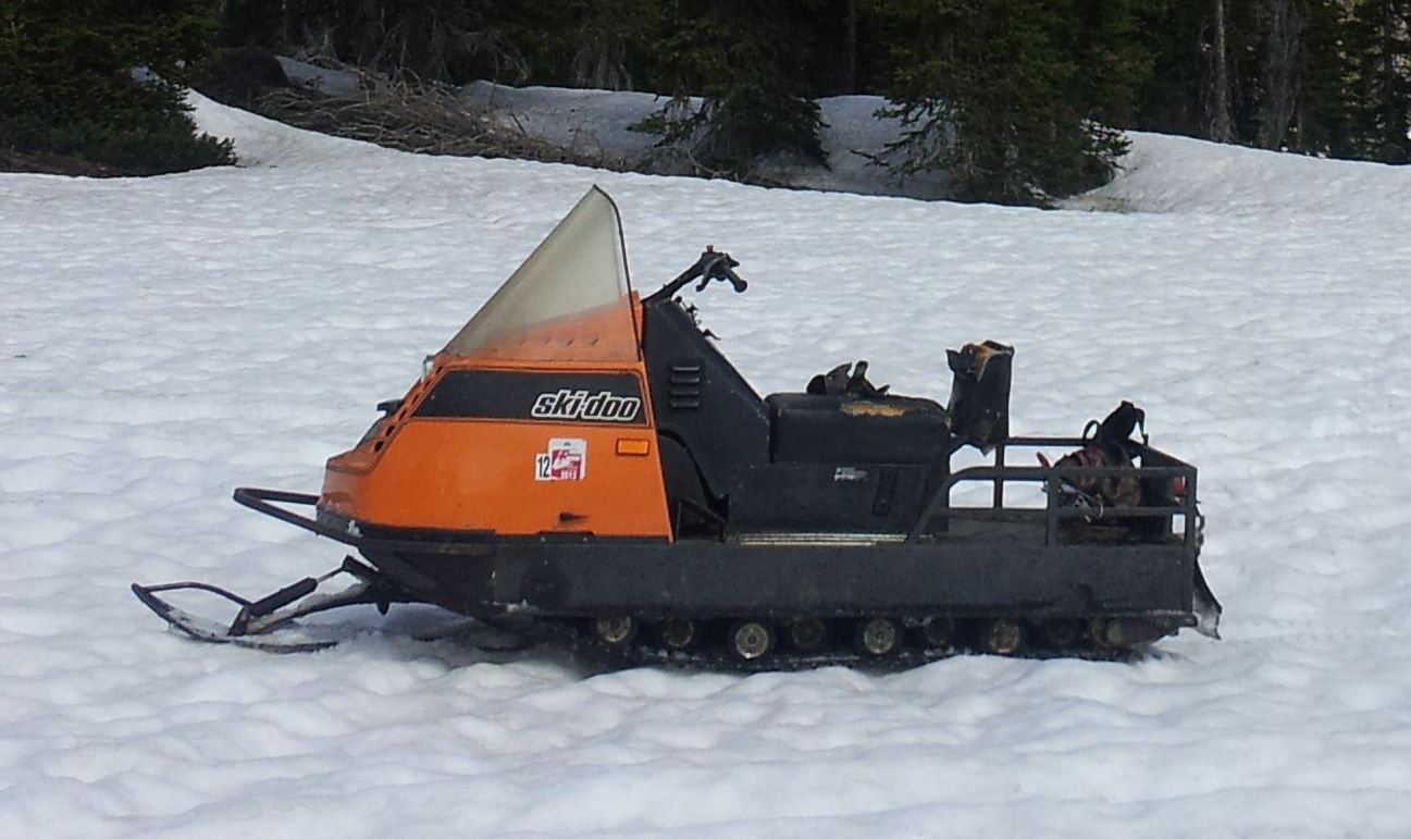 1985 Ski Doo Alpine