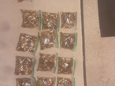 BULK 9MM USED CASES