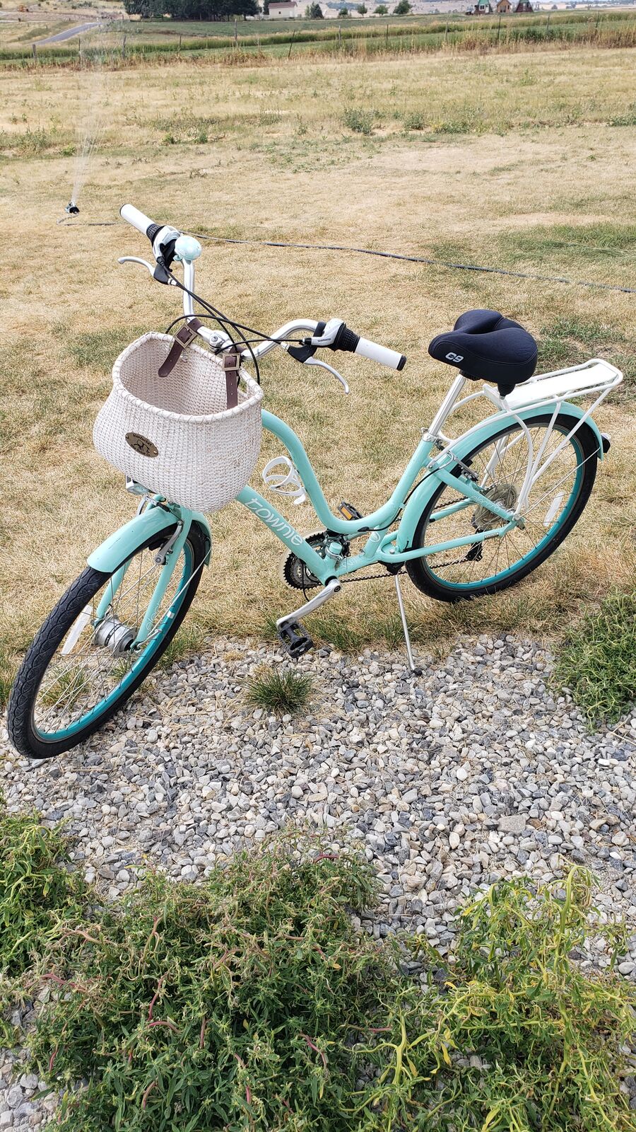 Townie Step Through Bike