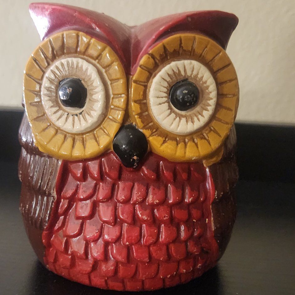 HootieHoo Owl Piggie Bank