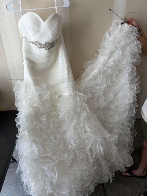 Main image 4