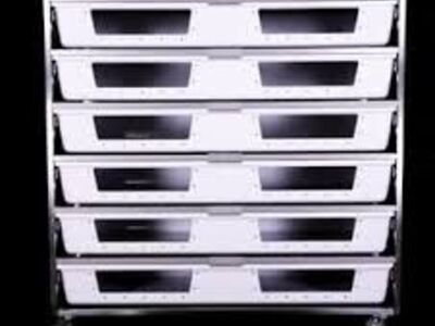 ISO Freedom Breeder 66-6