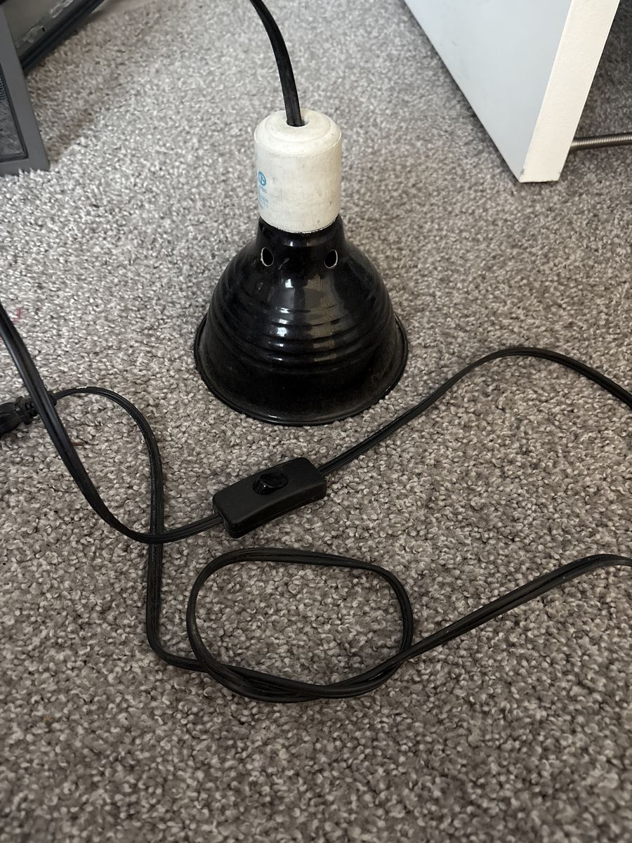 Black Heat Lamp Fixture with Inline Switch and ceramic bulb good for reptiles