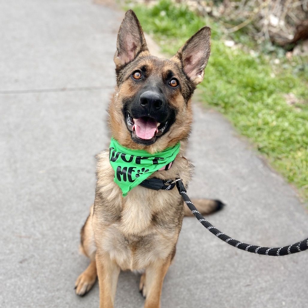 Hello my name is Ladybug