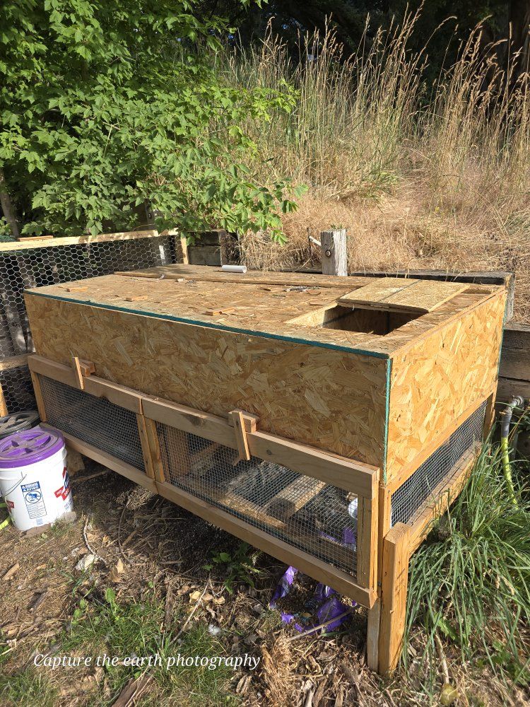 Handmade Wooden Rabbit/Poultry Hutch - Multi-Compartment Outdoor Pet Enclosure