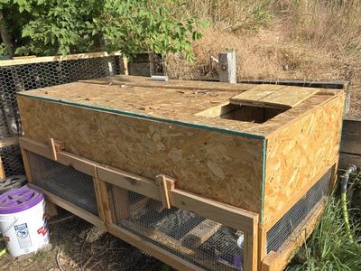 Handmade Wooden Rabbit/Poultry Hutch - Multi-Compartment Outdoor Pet Enclosure