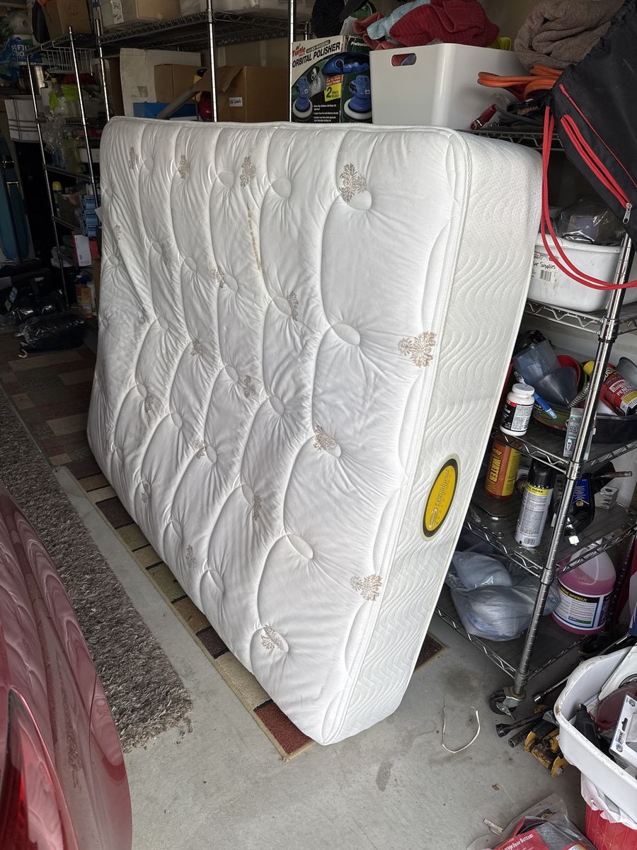 FREE Queen Mattress