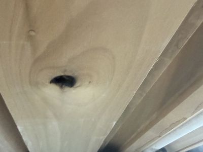 2x6 Poplar