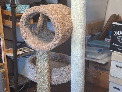 Cat Tree