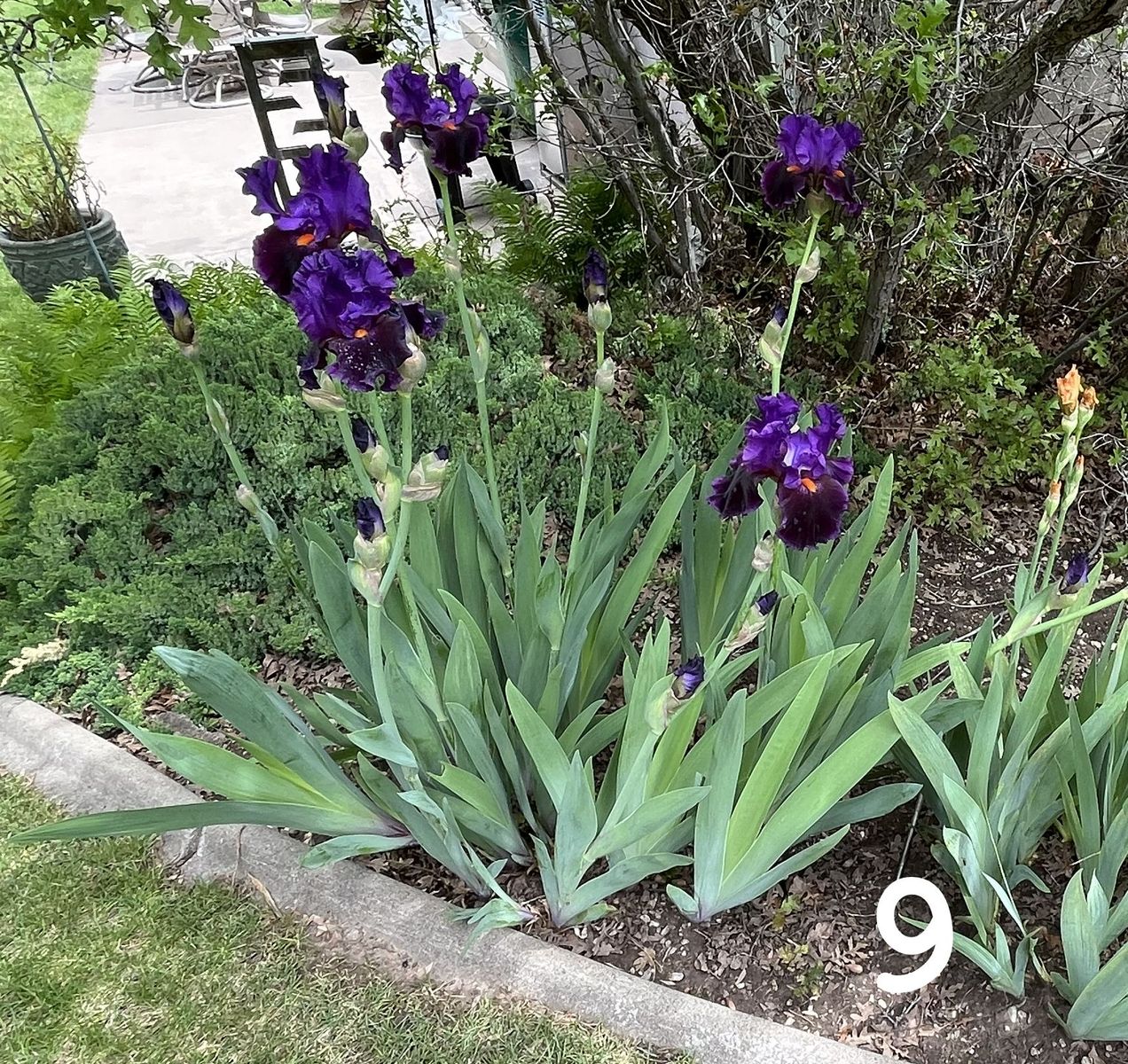 Main image 12