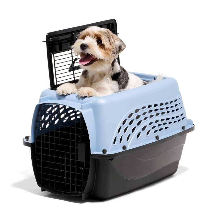 Petmate Dog Crate, 24", Blue
