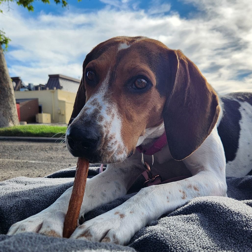 Hello my name is Lady
