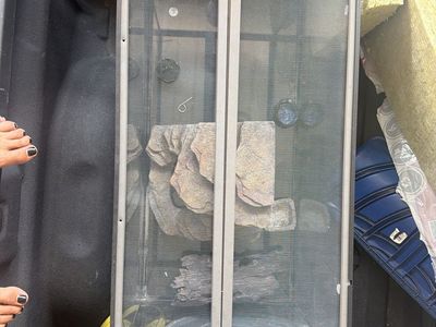 Glass Reptile 40 gallons Terrarium Tank with Mesh Screen Top, Rock Cave Hide & Driftwood