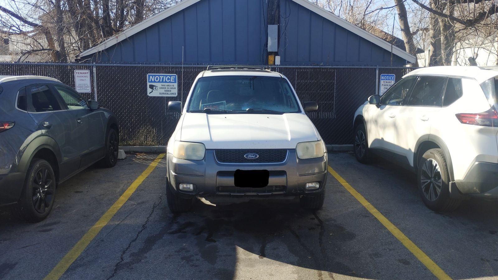 2004 FORD ESCAPE XLT