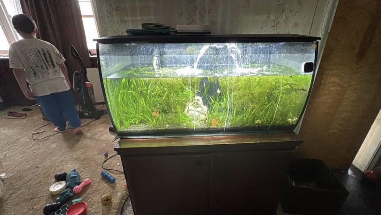Fluval Smart Aquarium Setup – 32 Gallon