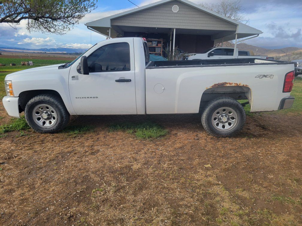 2010 Chevrolet Silverado 1500 WT