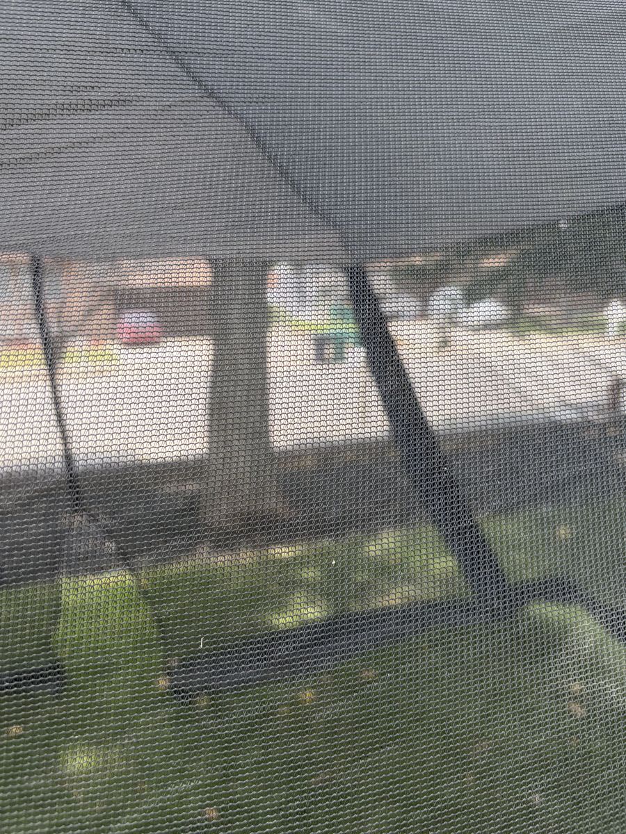 Main image 4