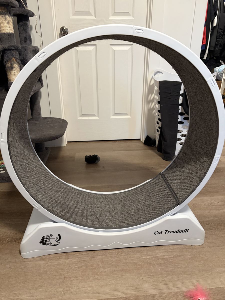Cat Treadmill Exercise Wheel